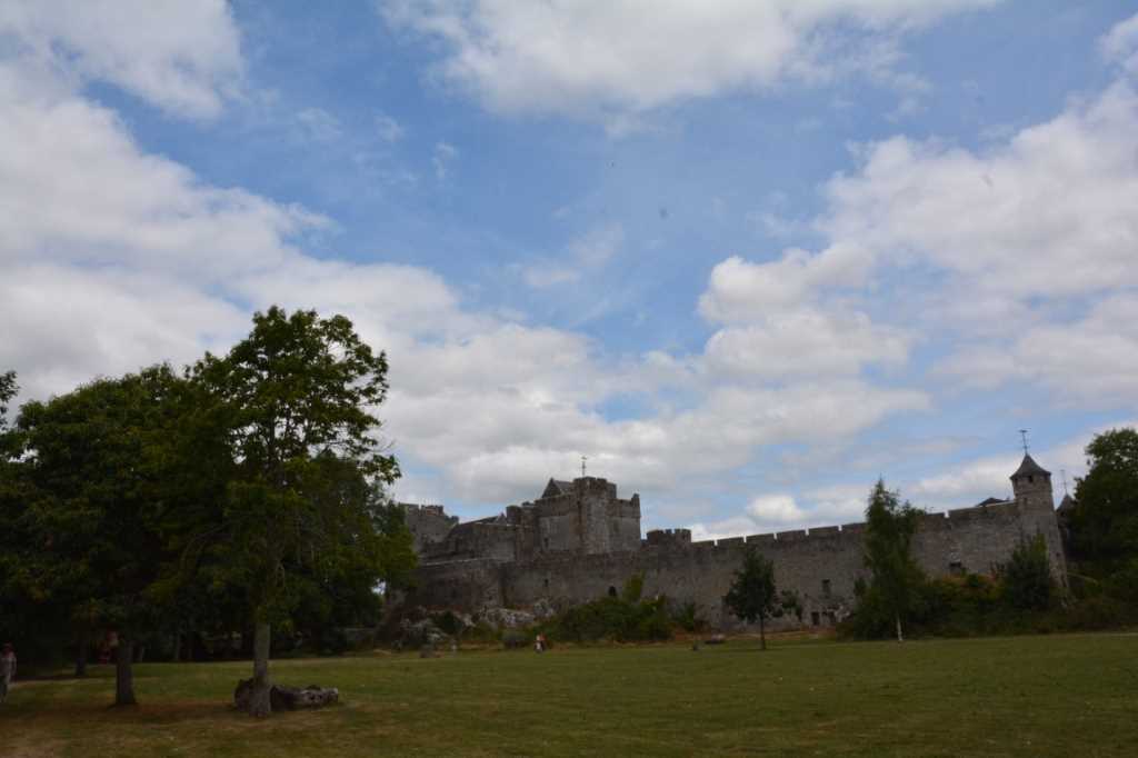 DSC_4250Mittel_.JPG